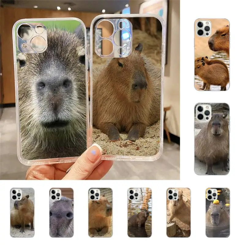 

Animal Funny Capybara Bling Phone Case For Iphone 7 8 Plus X Xr Xs 11 12 13 Se2020 Mini Mobile Iphones 14 Pro Max Case