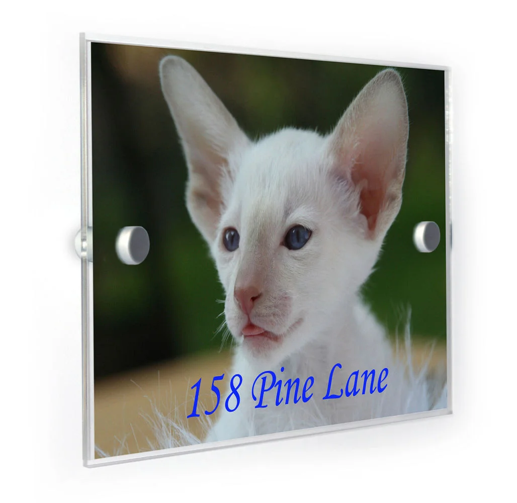 

Индивидуальный акриловый сиамский дом-кошка, табличка, домашний адресный знак