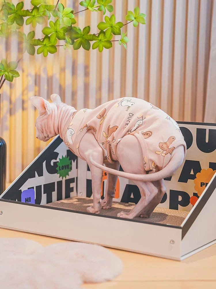 Флисовое пальто для кошек Sphynx одежда лета и весны мягкая толстовка с короткими