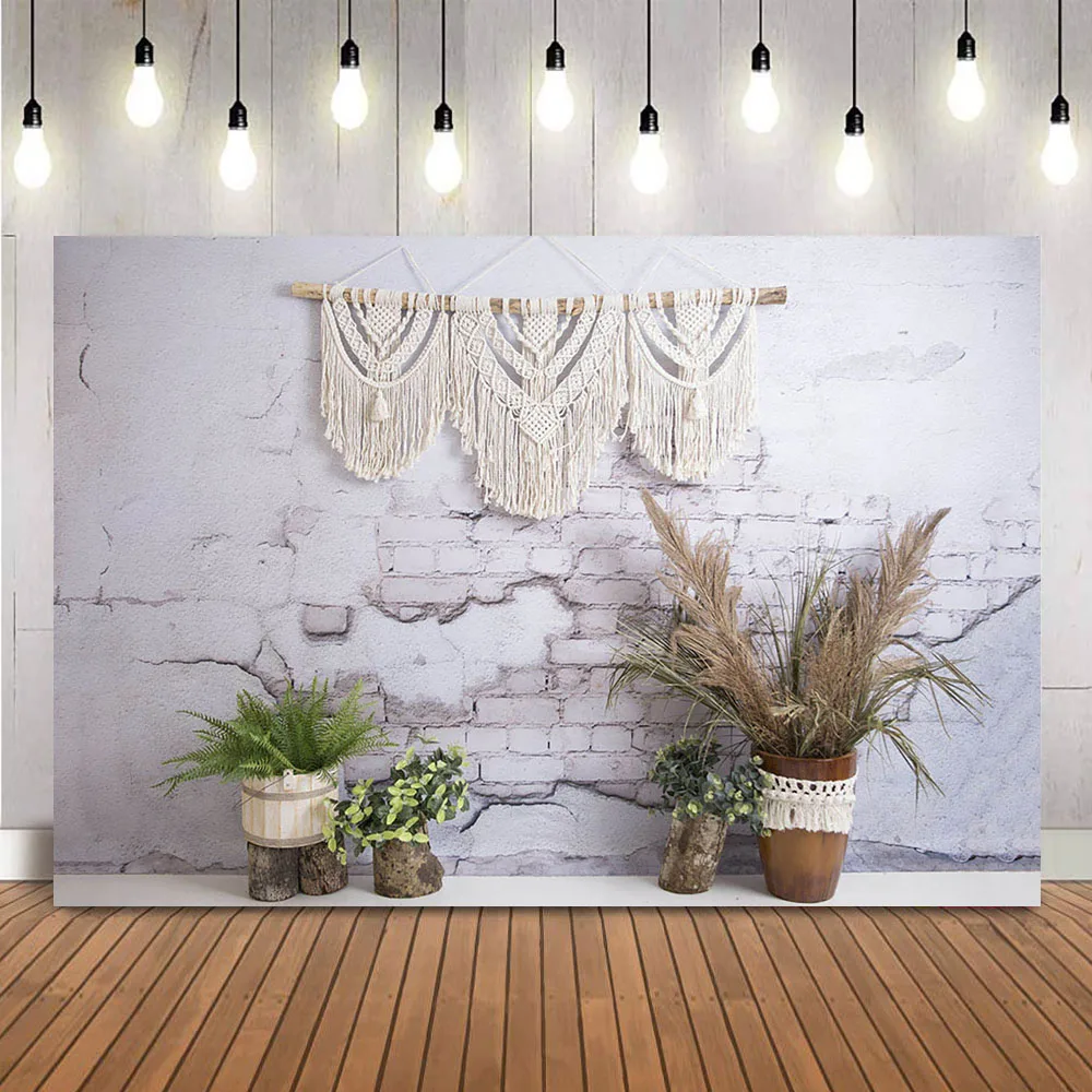 Пампасная трава фон Newbron дети торт разбивать портрет фото Boho Baby Shower фотосессия