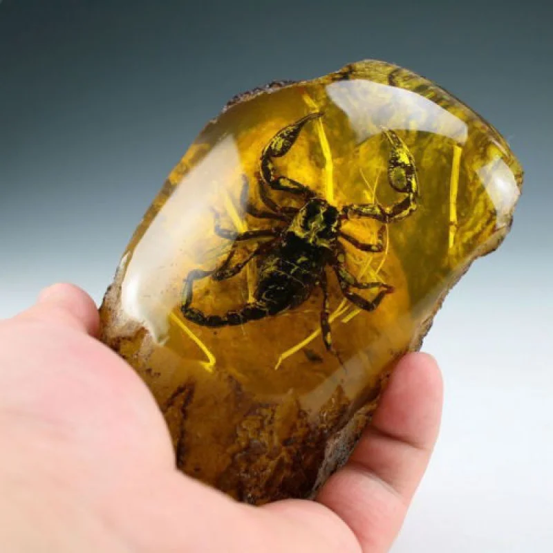 

Interesting statue of Chinese man-made amber scorpion