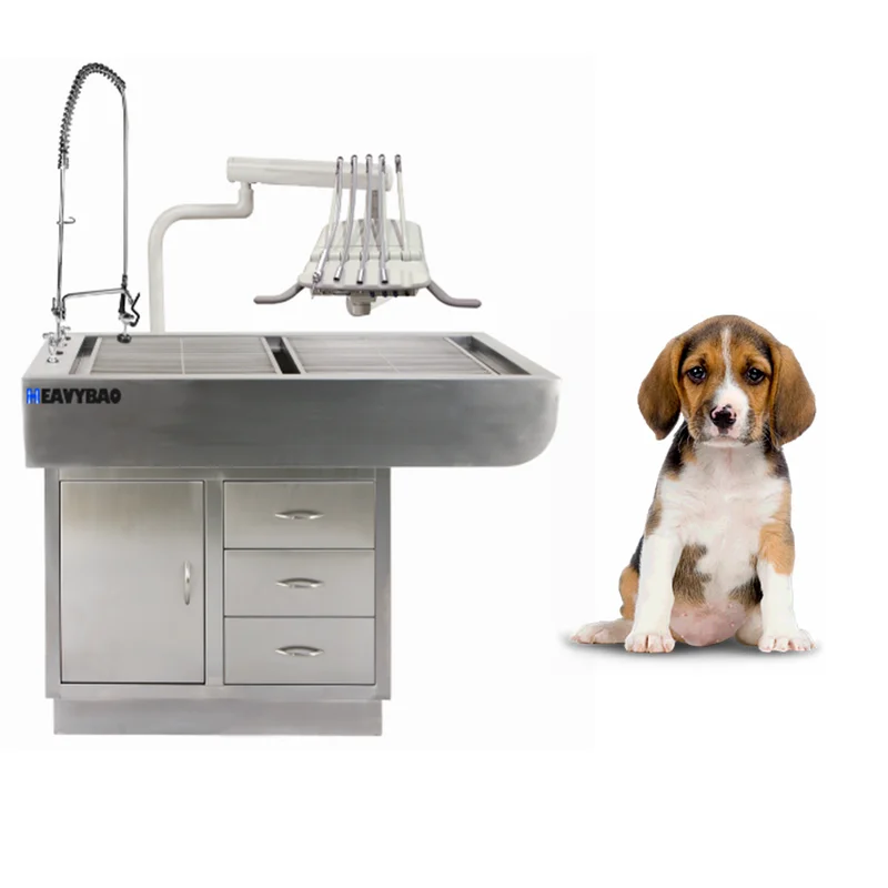 

304 Stainless Steel Electric Dental Operation Electric Pet Surgery Durable Operating Hydraulic Table