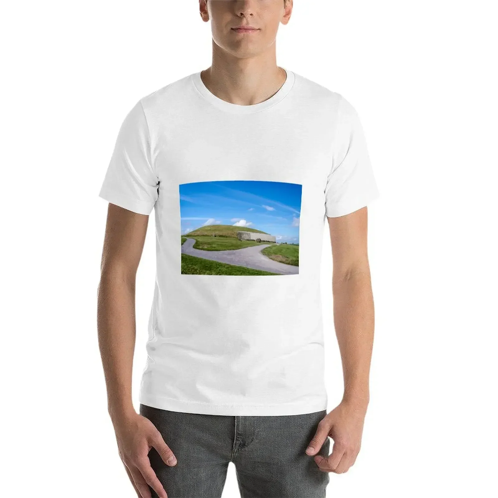 Ньюгранд Co Meath. Футболка блузка футболки с животным принтом для мальчиков мужские