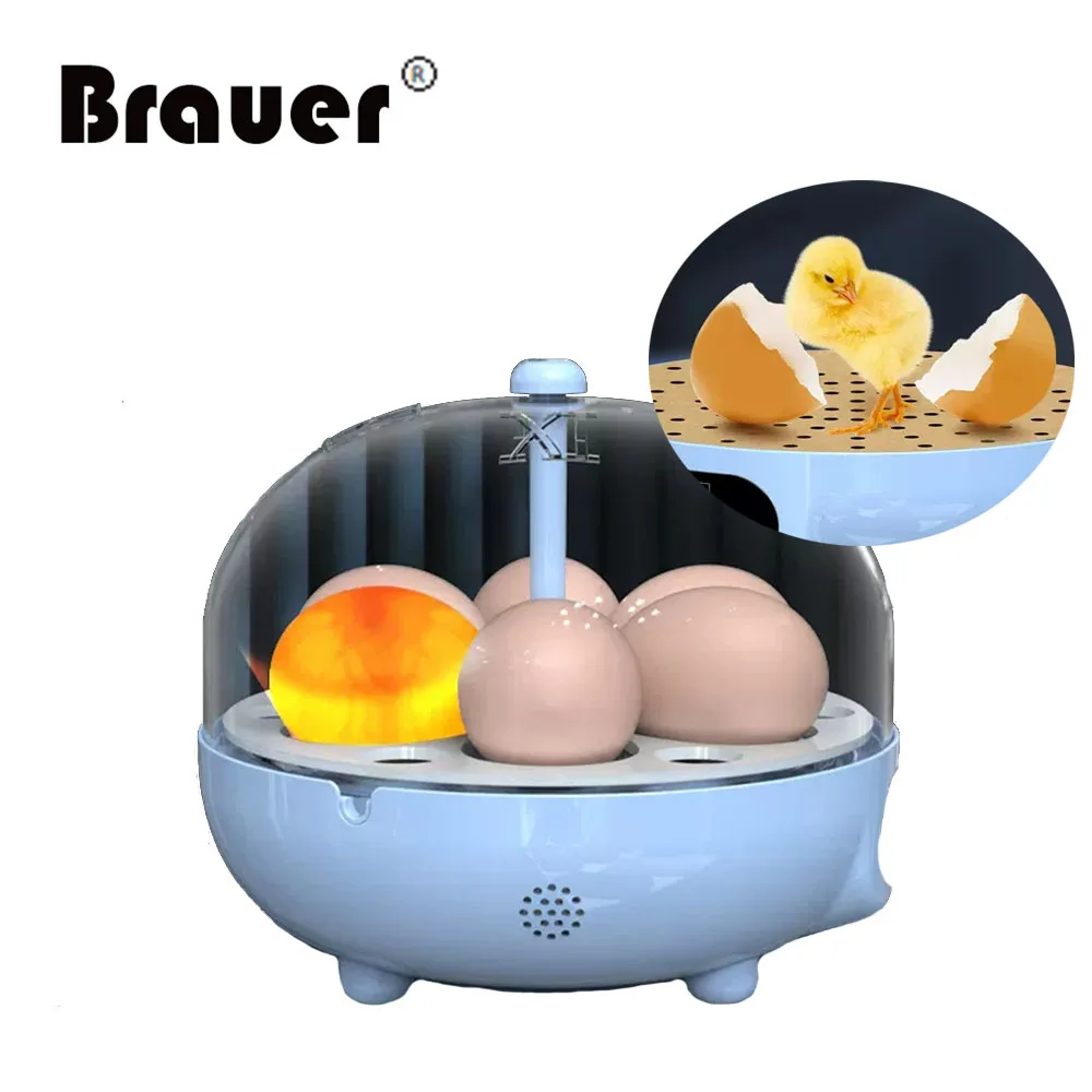 

Mini 6 Eggs Incubator Hatcher Digital Poultry Temperature Control Egg Candler for Birds Goose Chicken Duck Quail Supplies