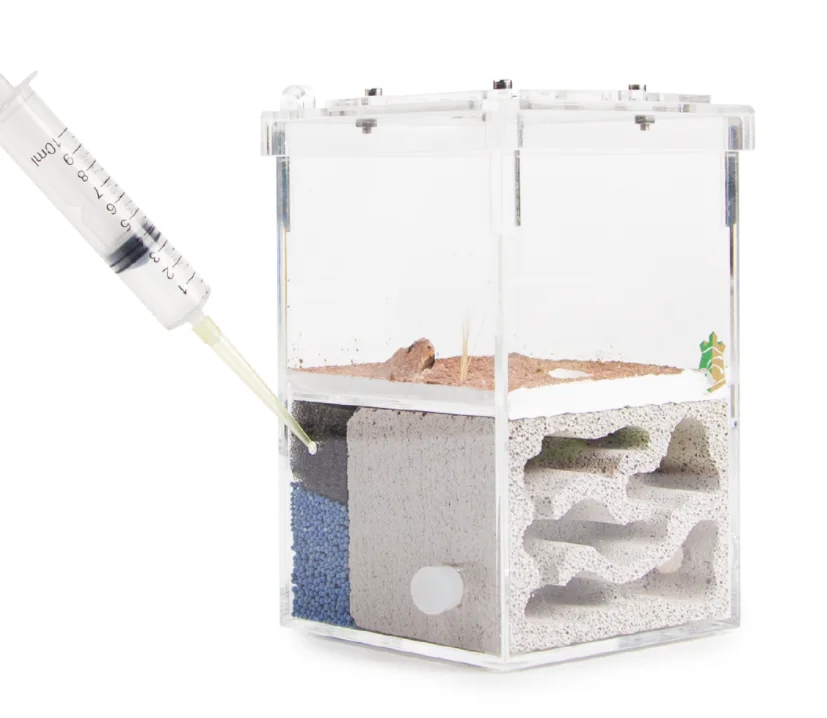 Смотровая коробка для формикариума акриловый дизайн муравьиные аксессуары