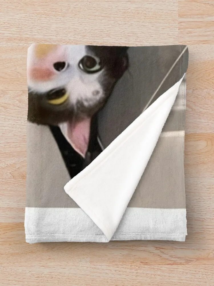 Одеяло с милыми животными V341 термопикник для дивана тонкие одеяла