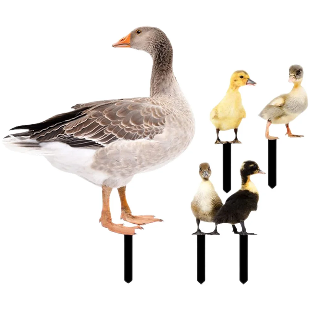 

Sign Duck Stakes Yard Garden Decorative Easter Outdoor Figurines Gnomes Shore Jim Decor Spring Decorations Acrylic Welcome