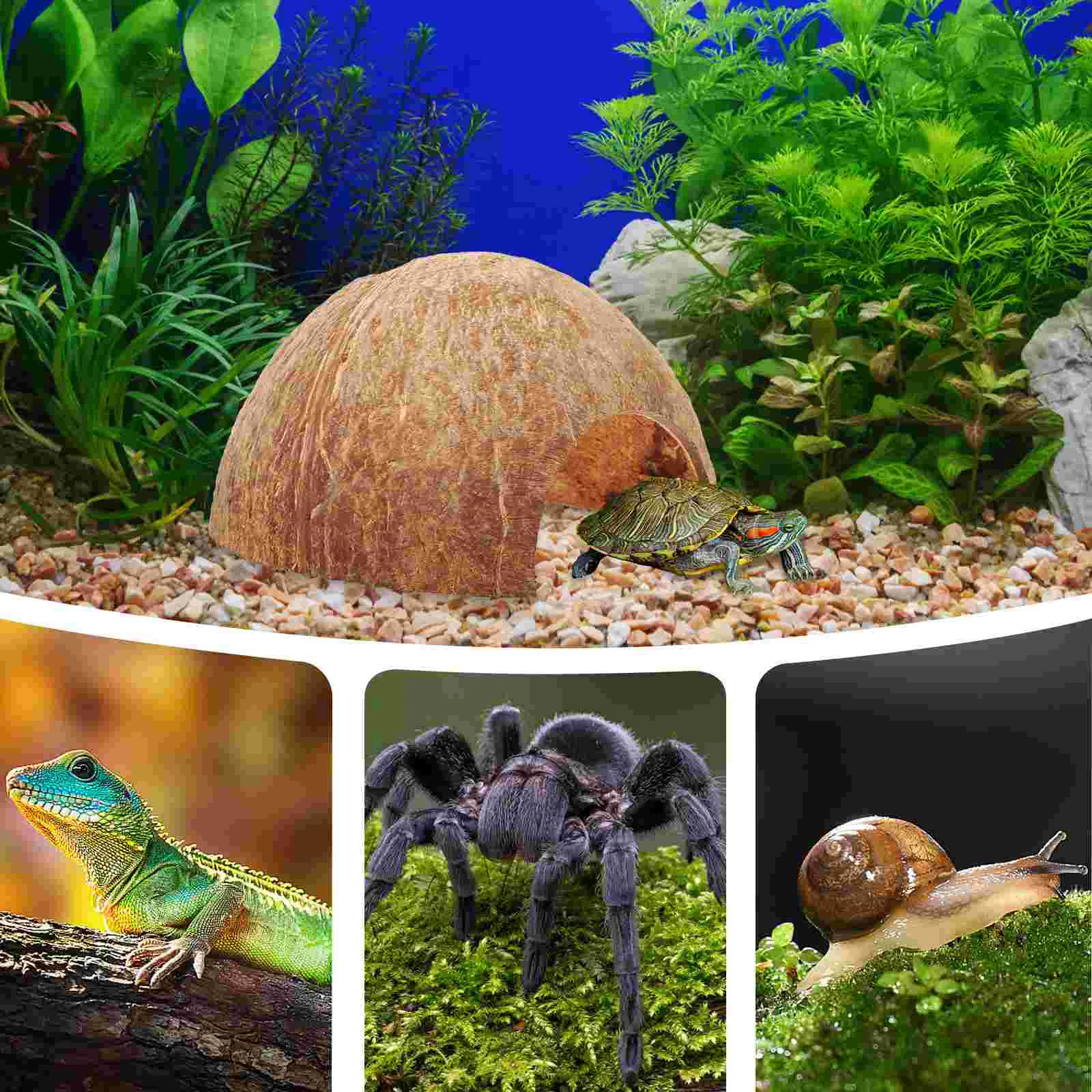 Кокосовое убежище дом леопард геккон увлажнительные кокосовые орехи украшение