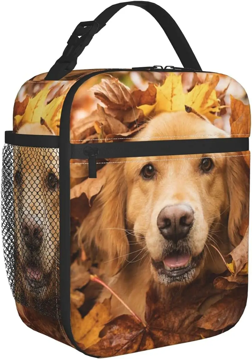 

Изолированный Ланч-бокс для собак золотистого ретривера, многоразовый Ланч-бокс для офиса, работы, школы, пикника, пляжа