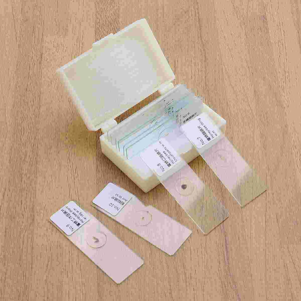 

10 PCS/Set Biology Sample Specimens Microscope Prepared Specimens Slides of Insects Plants Animals Glass Shows Samples