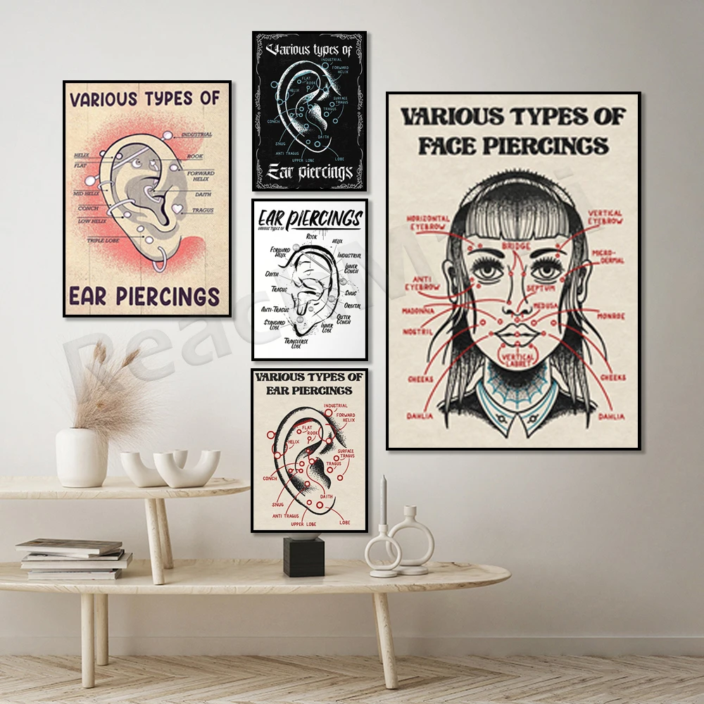 

Various types of facial piercing, ear piercing, piercing poster, infographic, reflexology ear diagram canvas print