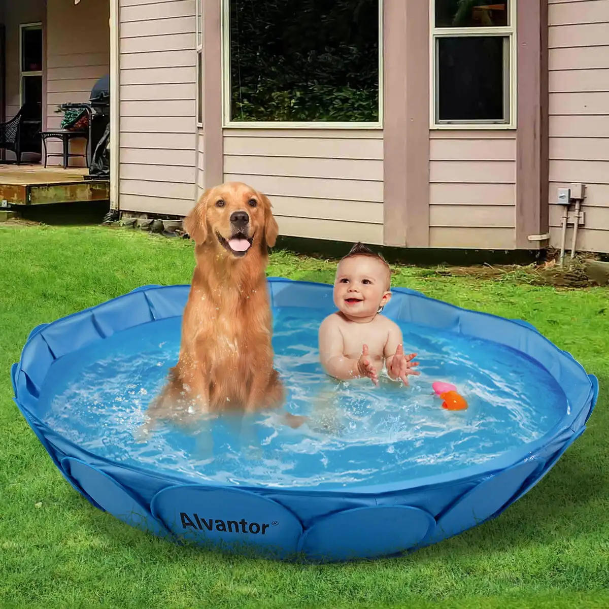 

Pet Swimming Pool Dog Bathtub Kiddie Kids Bath Foldable