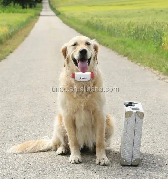 

Hot sale gps tracker anti jammer with good price