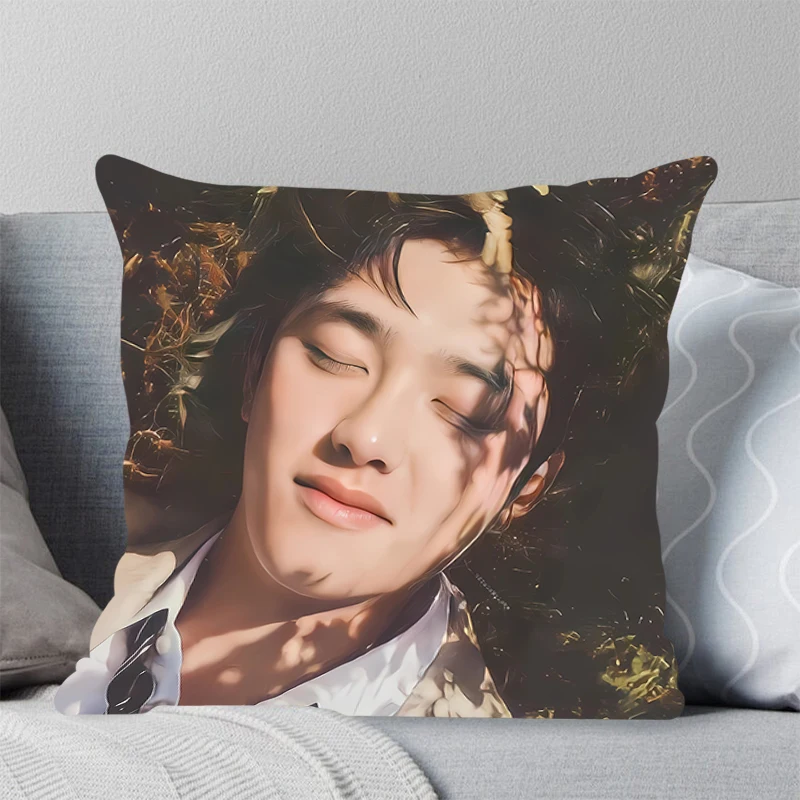 Квадратный Чехол Для Подушки Декоративная Наволочка Из Полиэстера Гостиной