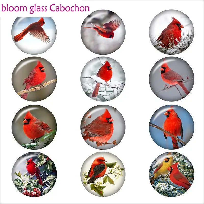 Кардинал рождественская птица, круглый фото стеклянный кабошон для изготовления ювелирных изделий, 12 мм/18 мм/20 мм/25 мм, находка A7805.