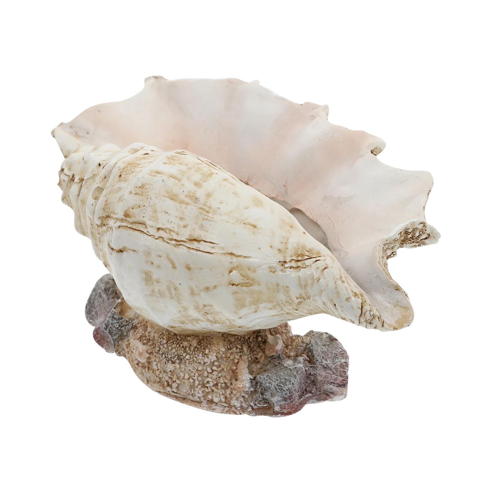 

Pot Flower Plantersucculent Potscontainer Seashell Bonsai Conchresin Mini Indoor Decor Holdercute Shell Shape Decorative