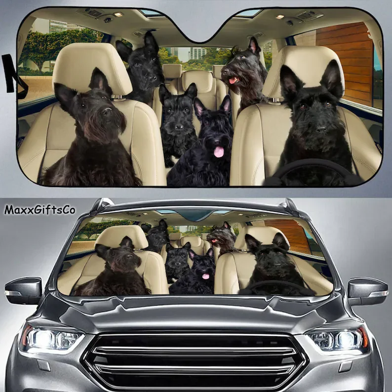 

Scottish terrier car sun shade, scottish terrier windshield, dogs family sunshade, dogs car accessories, car decoration, dogs lo