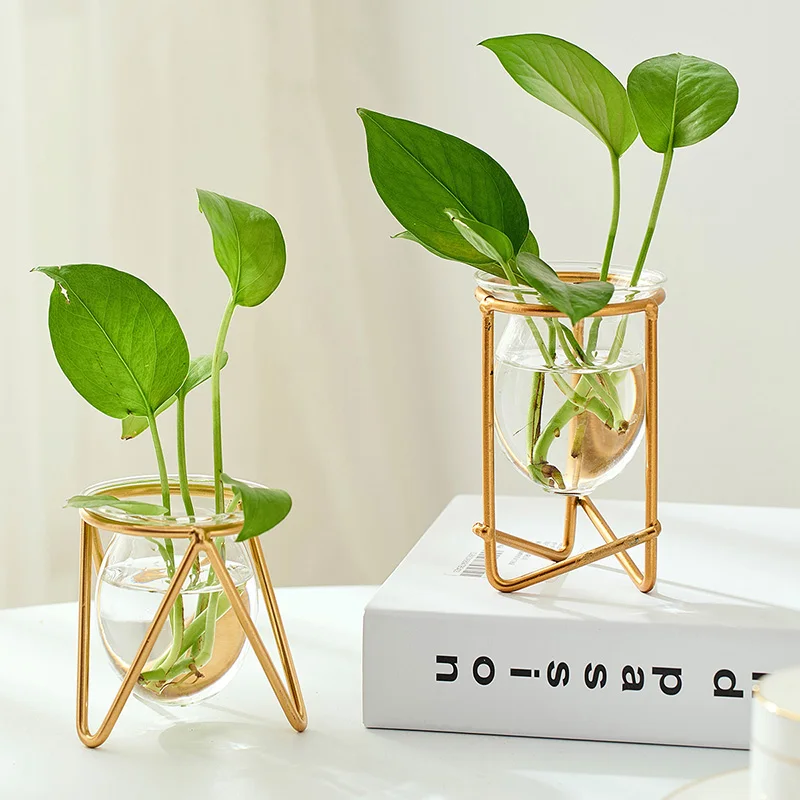 

Nordic Hydroponics Vase Decorative Flower Pots Terrarium Modern Living Room Decoration Home Decoration Accessories Bedroom Decor