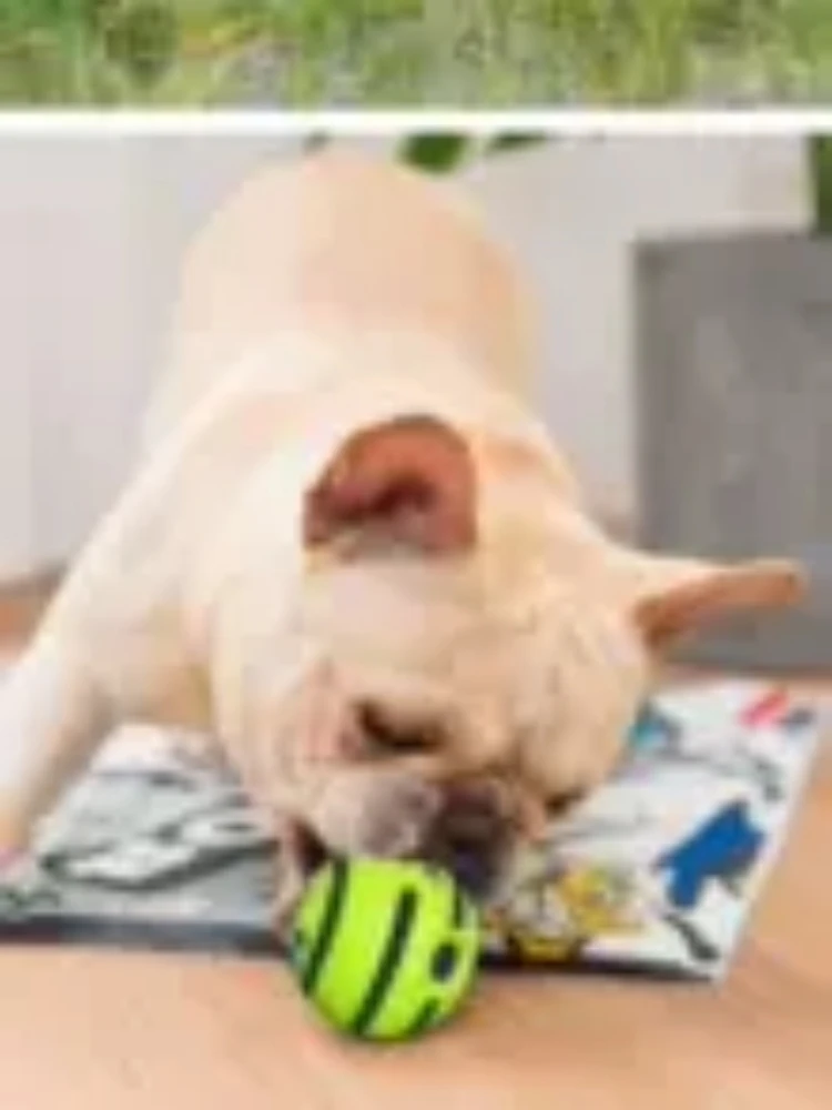 Игрушка для собак, рельефный вращающийся лающий шар, устойчивый к укусам, зубной поклевки, неплохой звуковой мяч для питомца