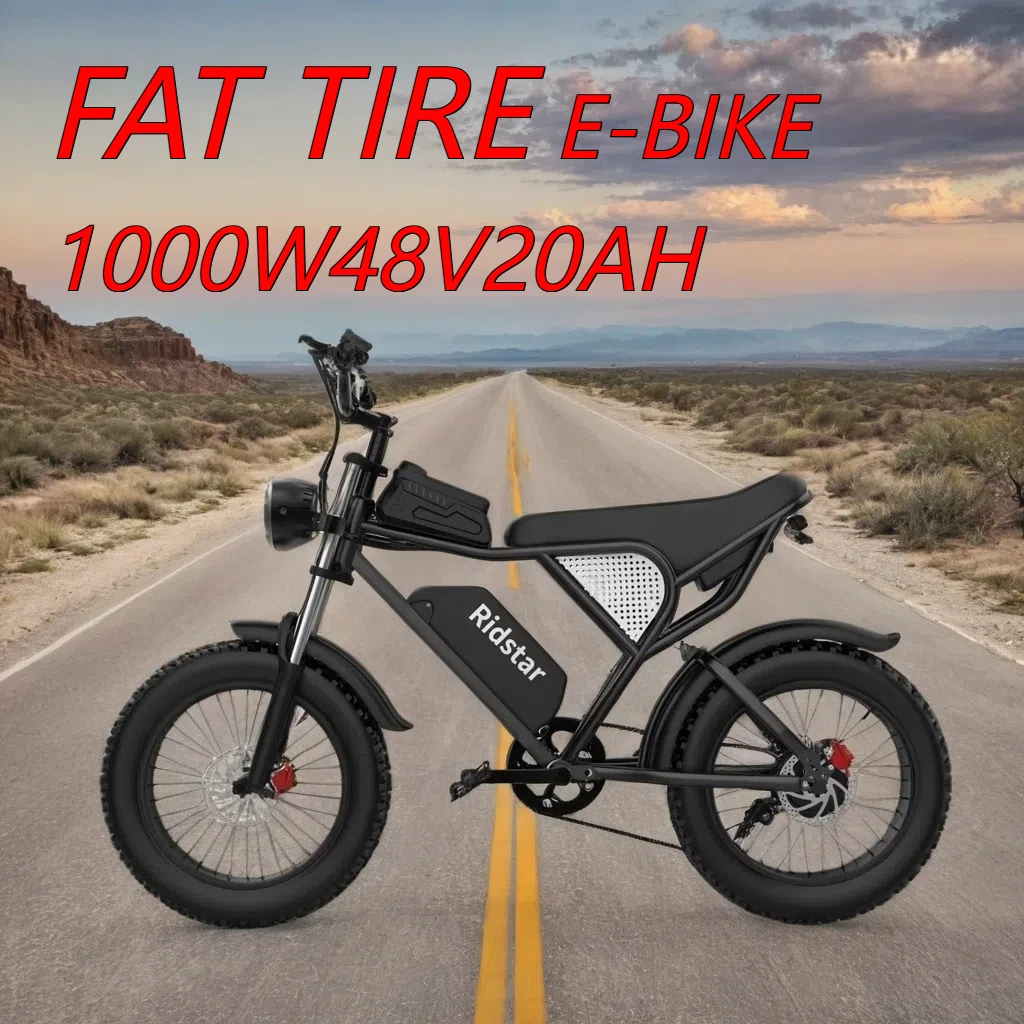 ebike Ridstar Q20 1000W48V20AH 20*4FAT шина электрический велосипед горный толстый