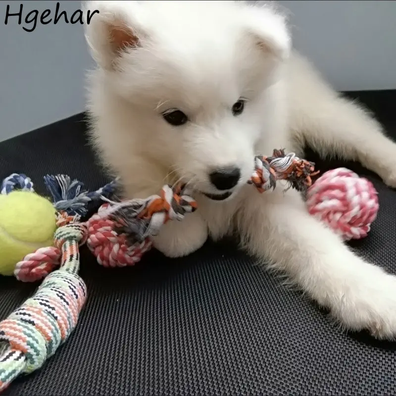 

Интерактивная игрушка для собак