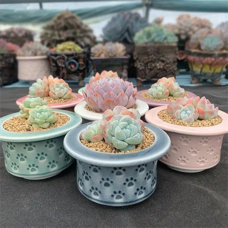 

High Quality Ceramic Flower Pot Cartoon Style Ceramic Flowerpot Handmade Container Plant Flower Pot Plant Flowerpot