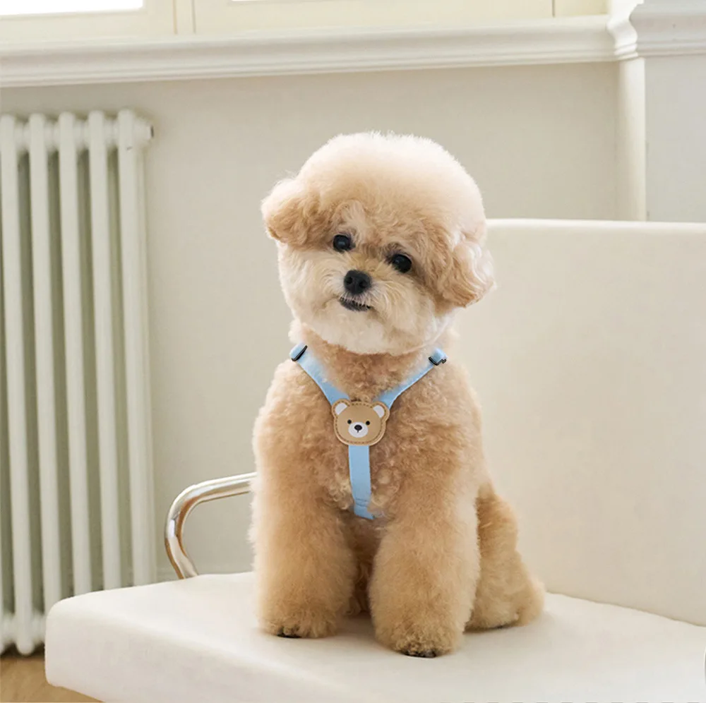 Поводок для маленьких и средних собак милый медведь щенок-Бишон шнаузер ошейник