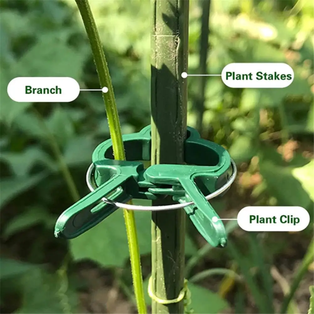

20pcs Green Gardening Plant Flower Lever Loop Gripper Clips for Supporting or Straightening Plant Stems Stalks Vines Garden Clip