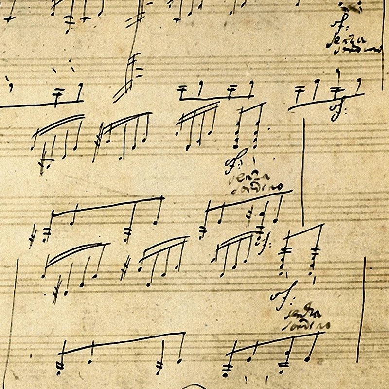 Винтажный постер Moonlight Sonata оригинальная Картина на холсте с изображением