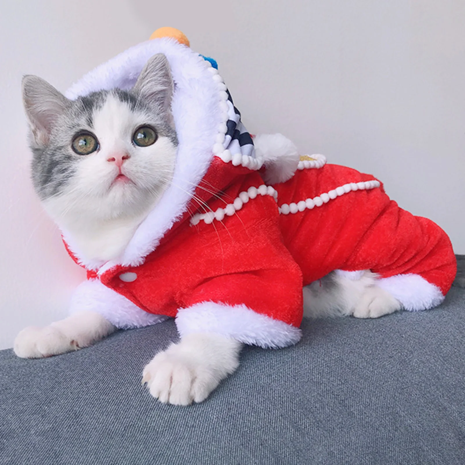 

Женский новогодний костюм для китайского льва, танцевальный костюм, пальто, зимний костюм для кошки, костюм для маленькой собаки, костюм Тан...