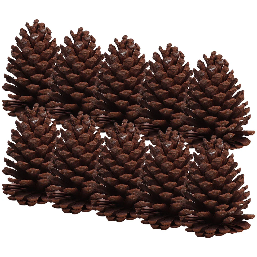 

10pcs DIY Pine Cone Decor Pine Cone Christmas Pine Cone Decorations