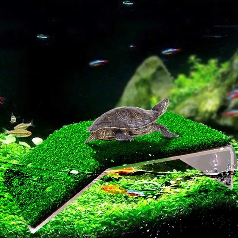 Островок для красноухой черепахи своими руками (фото)