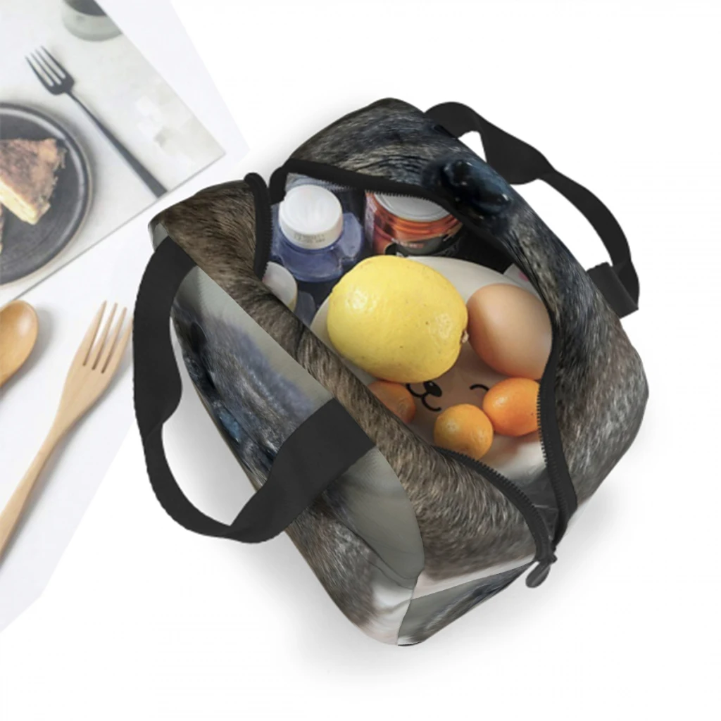 Сумка для обеда Rock Hyrax школы водонепроницаемая термохолодильник пикника