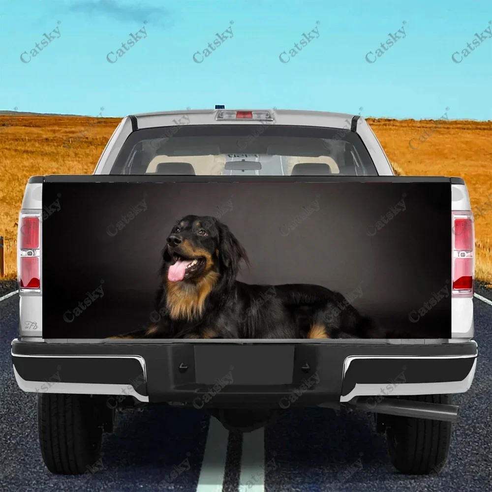 Самоклеящаяся виниловая наклейка на автомобиль задний