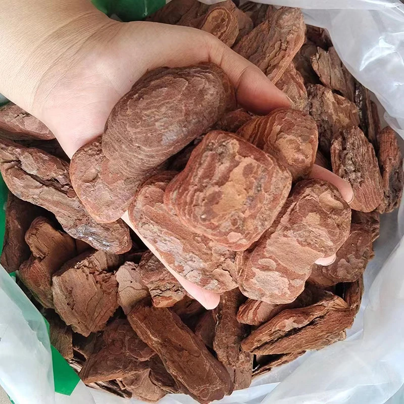 Модель железной дороги