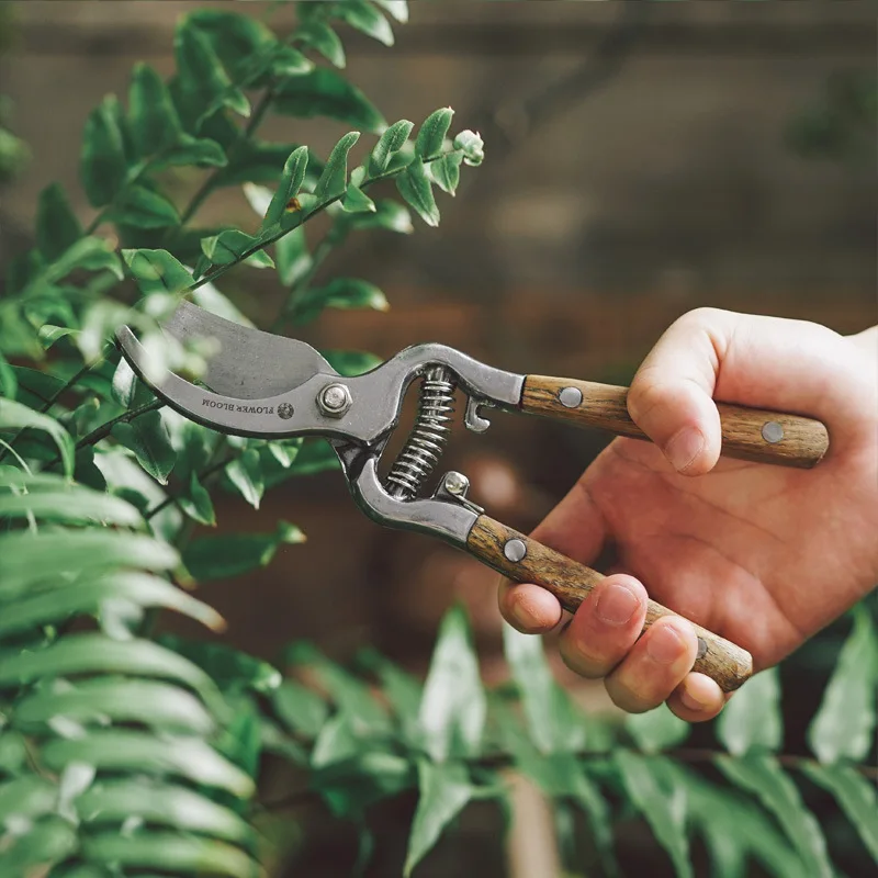 

Ash tree pruning shears garden garden shears garden tools fruit branch shears