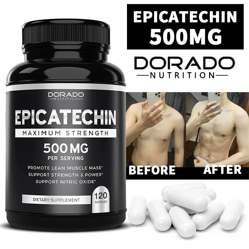 

Epicatechin Extract 500mg Per Serving - Supports Lean Muscle, Nitric Oxide, Carnosine Inhibitors, Pumps & Gains, Non-GMO