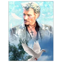 new diamond painting johnny hallyday dove pigeon 5d diy beads with embroidery crystal full drill art craft cuadros decor dw064