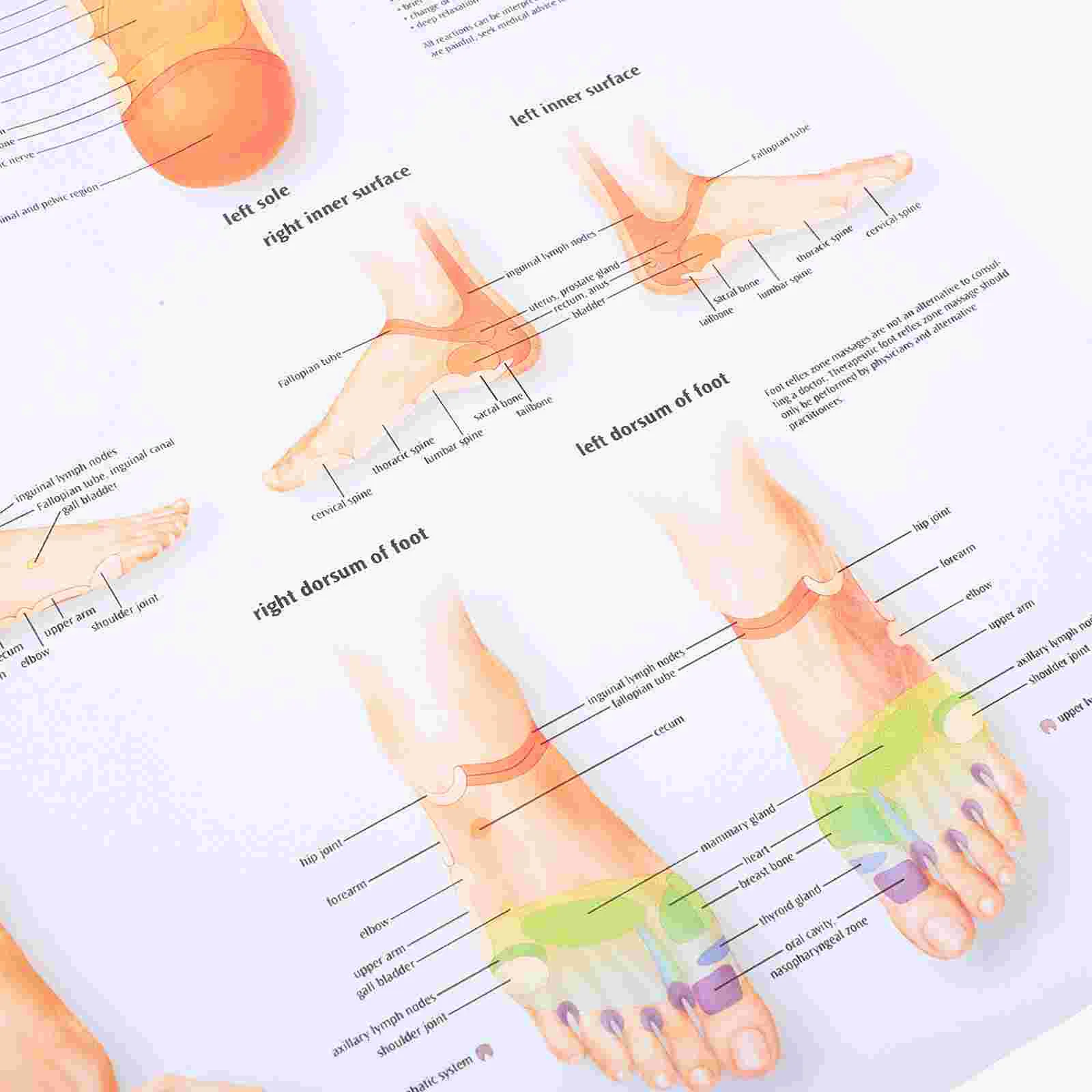 Плакат с рефлексологией ног декоративная картина/подвесная картина диаграммы
