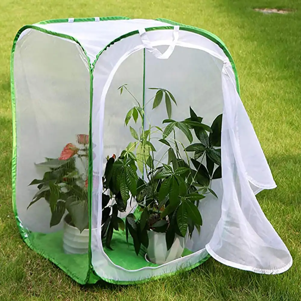 

Green collapsible insect cage Mesh Insect Habitat Cage Butterfly Mantis Stick Breeding Zipper Cages Net Cloth