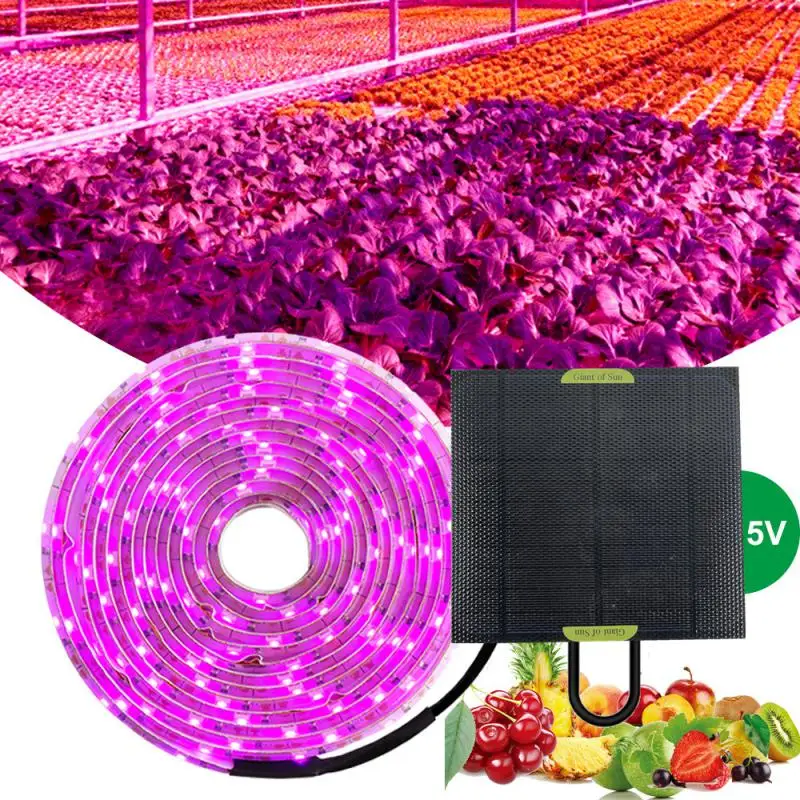 

5V Solar plant light Plant Growth Light With 2835 Lamp Beads Full Spectrum LED Light With 1/2/3/5m 60 LEDs Per Meter