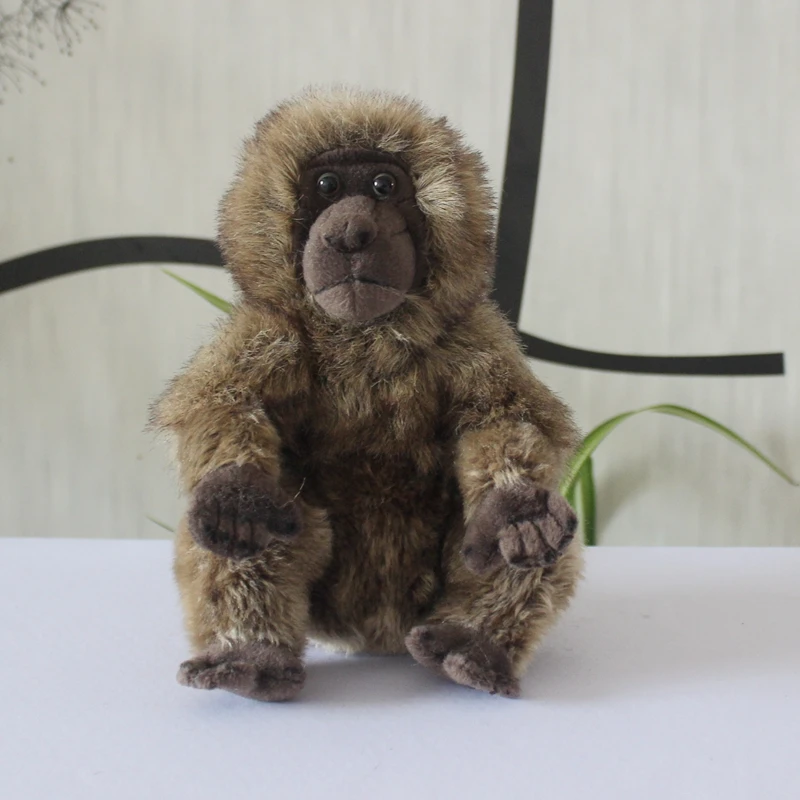 

gift simulation animal model Papio ursinus