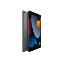 ipad 2021 new 9th generation 10 2 inch apple tablet gray wlan 256g retina display