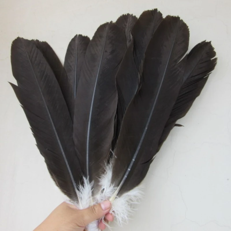 

10 Pcs Rare Eagle Feathers for Crafts Length 30-40cm/12-16 Inch DIY Hawk Pheasant Tail Feathers Ornament Decoration
