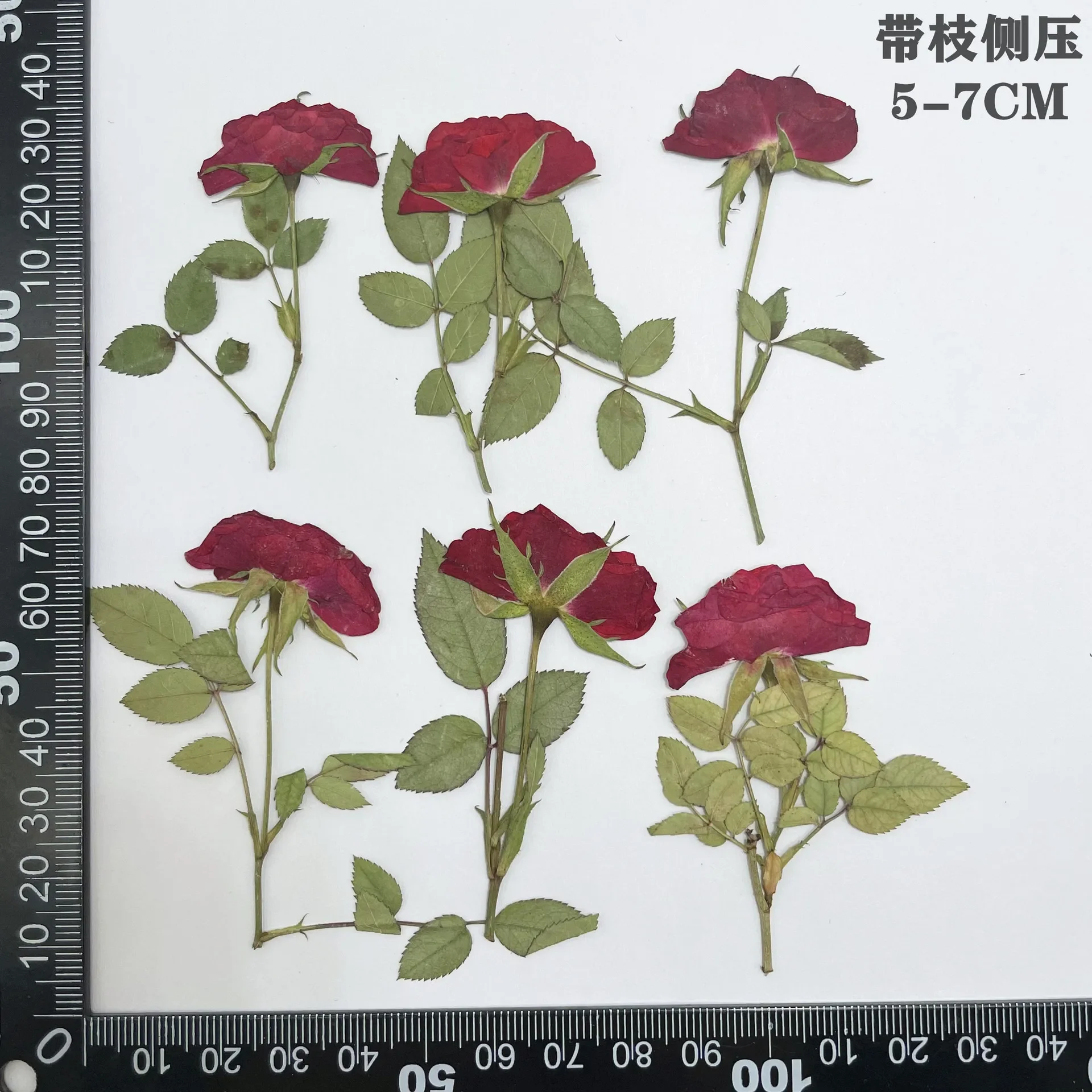 

Натуральные прессованные мини розы