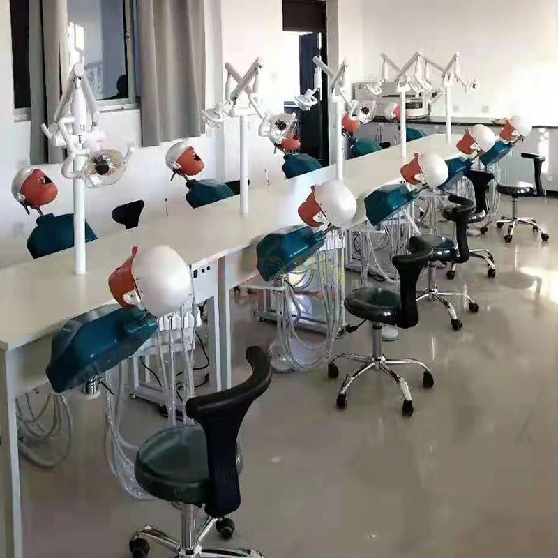 Стоматологическая имитация анатомической головы модель стоматологии