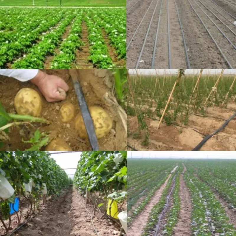 Новая технология капельного орошения 10 см