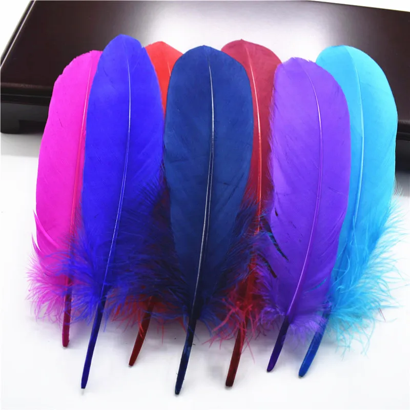 

20Pcs Hard Stick Natural Goose Feathers Feathers for Decoration Crafts Colored Feathers for Needlework Diy Decor Plume Plumas