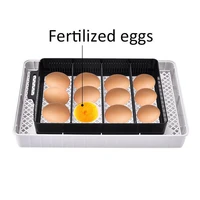 hhd 12 mini egg incubator fully automatic egg incubator great quality