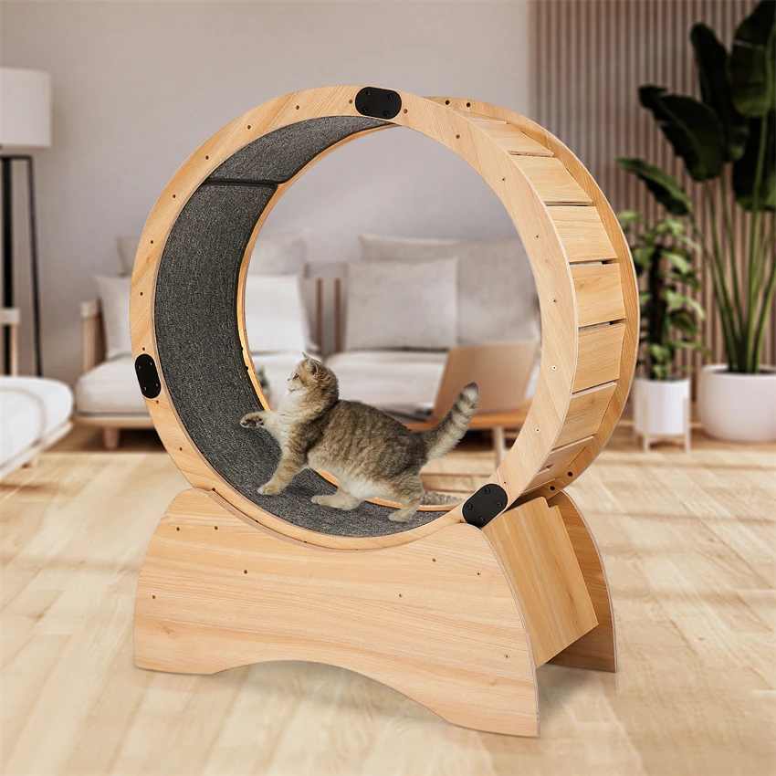 

Pet Treadmill Cat Climbing Frame Fitness Roller Silent Sports Running Wheel Furniture Cat Scratcher Toy Pet Toys